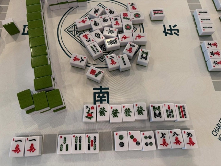 學(xué)習(xí)國粹！瓦妮莎打起了麻將 這麻將還是外國特供版